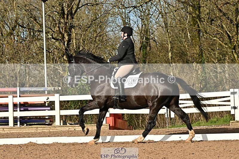 241214-132520-02419 - 119-Rosey.Bradburn-High.Spirits.II