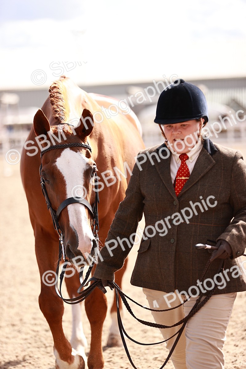 SBM_13351 - class 406 - IH Hunter