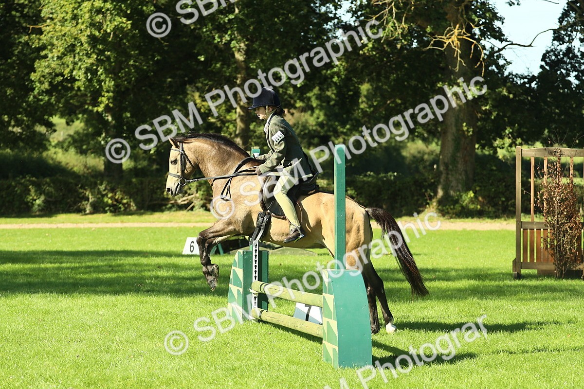 SBM_36509 - S29 - Novice & Newcomers Working Hunter Pony