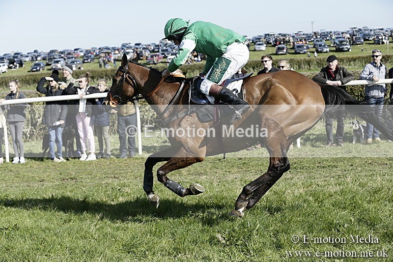 PtP 250317 236 - V.W.H. Hunt Point-to-Point Siddington 25/03/17