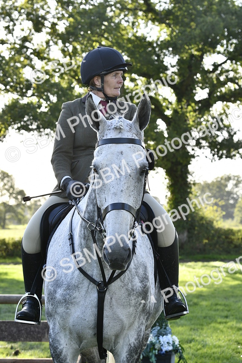SBM_52251 - S35 - Working Hunter & Working Show Horse