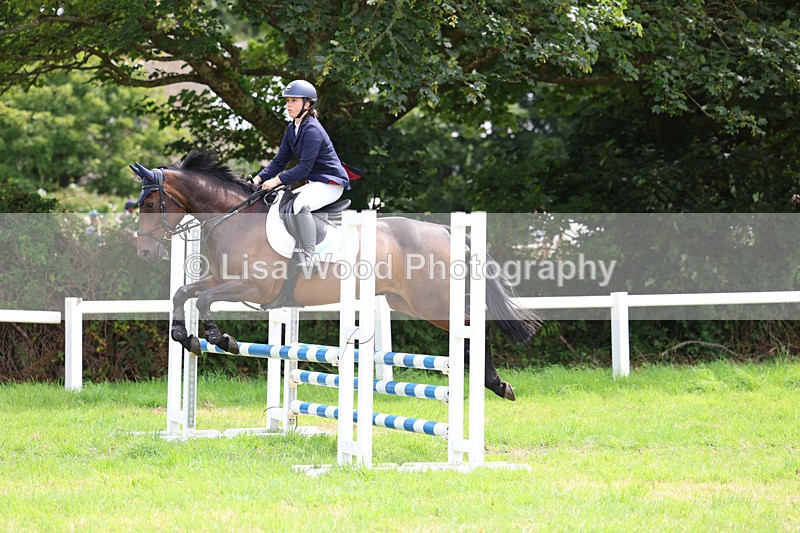 3E7A6948 - Class 5: Senior British Novice/90cm open