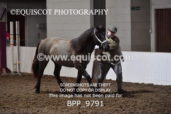 BPP_9791 - RING 1