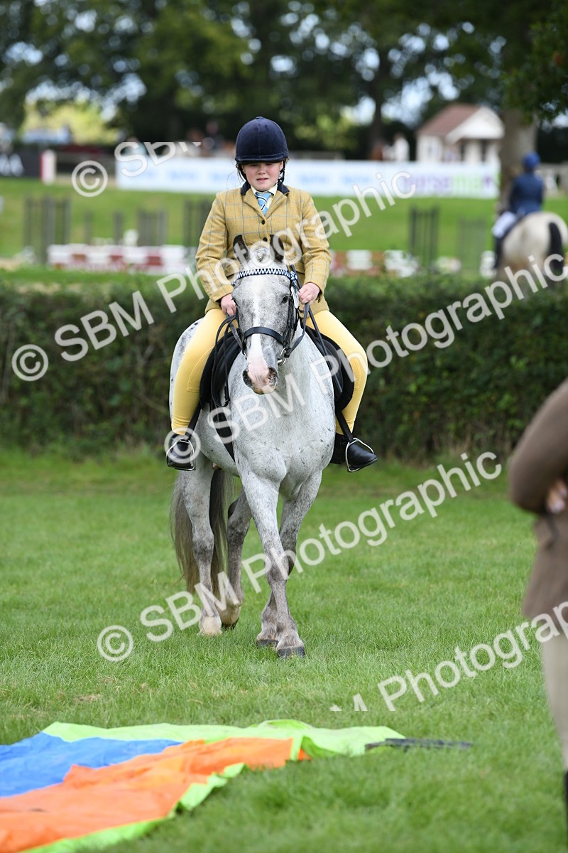 SBM_47175 - S12 - Family Horse & Pony