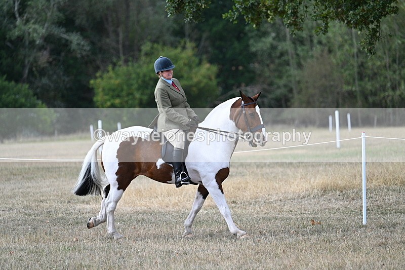 WJ7_7206 - Class 14 Ridden Coloured