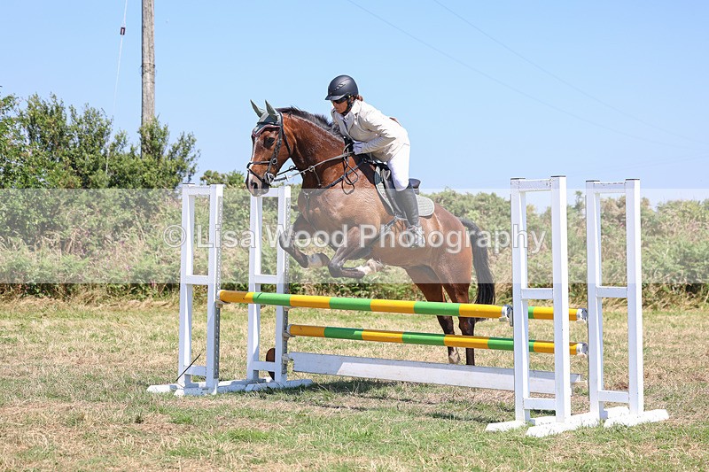 3E7A4335 - Class 10: Senior British Novice/90cm open