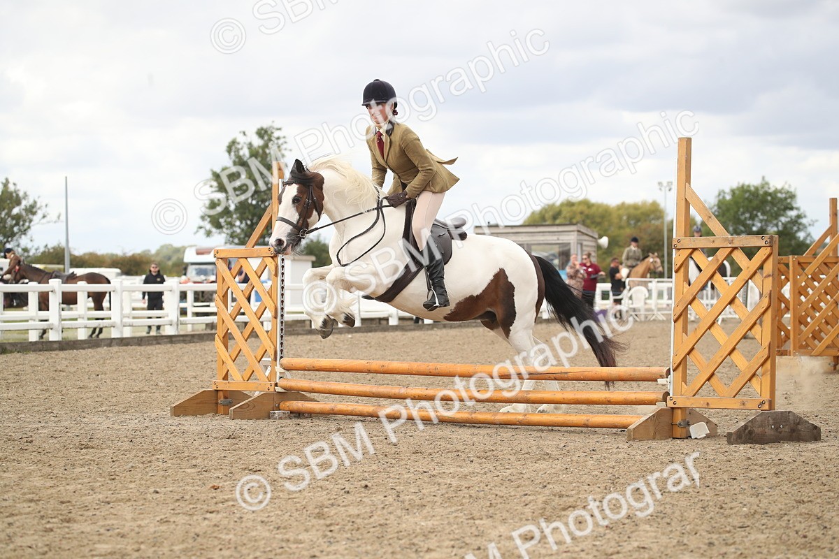 SBM_15219 - Class 506a - Working Veteran - 50cm (15-19)