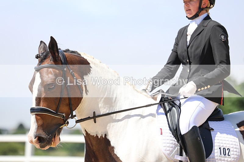 3E7A2019 - Class 7: Unaffiliated Novice 3 2024 Section B