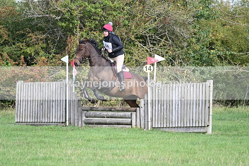 WJ7_8268 - 60cm Pairs