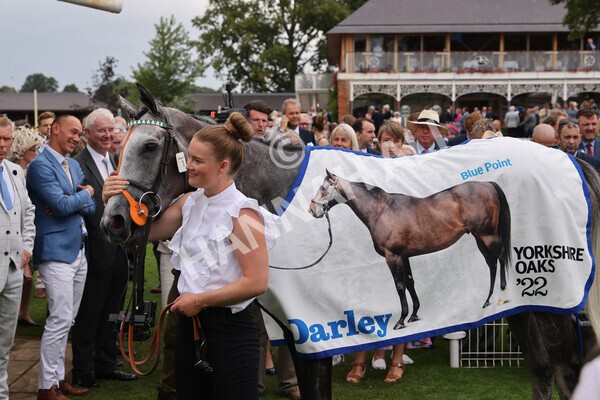 yr18082022r4-58 - Race 4 3.35pm Darley Yorkshire Oaks (British Champions Series Race)
