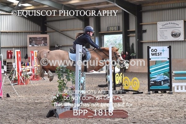 BPP_1818 - CLASS 8  Pony British Novice / 0.80m Open