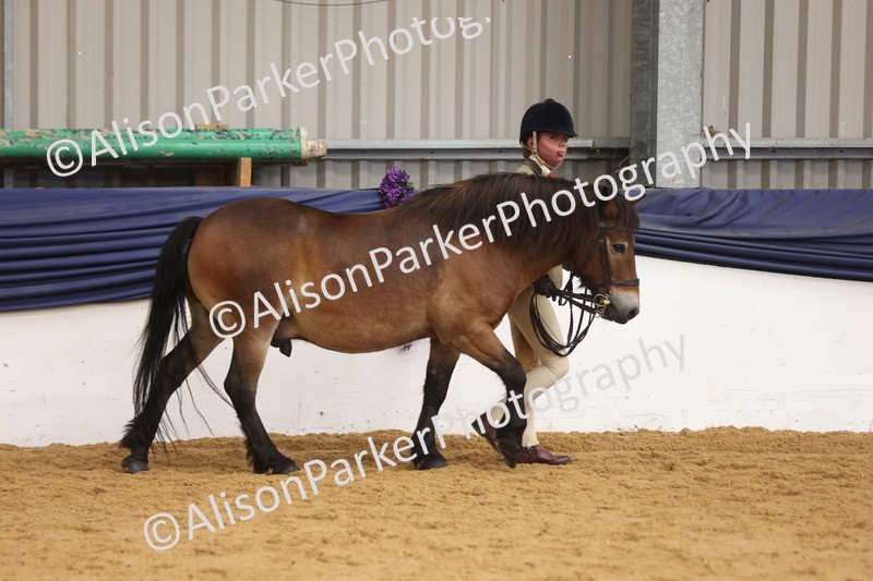 20260913-1688 - Class 115 - Gelding 4years and over