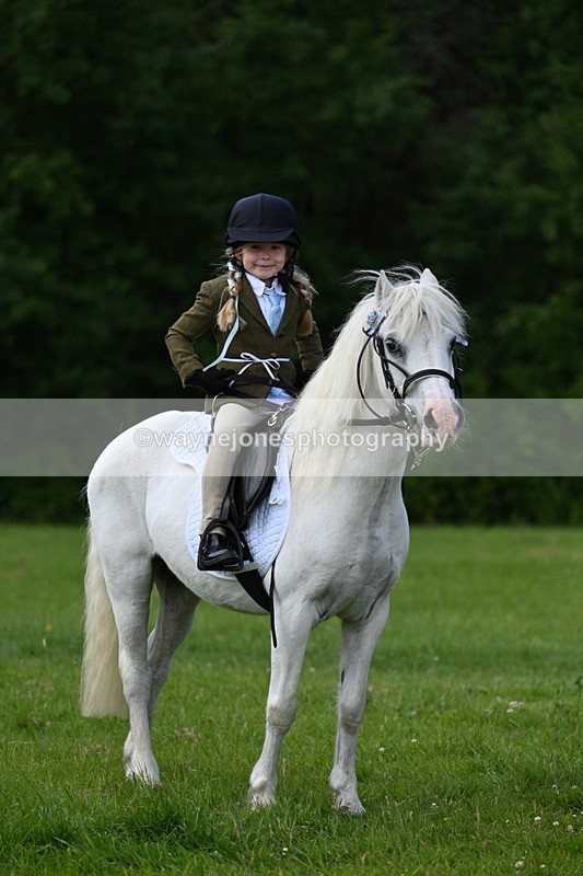 WJ7_1723 - Class 11 Condition & Turnout