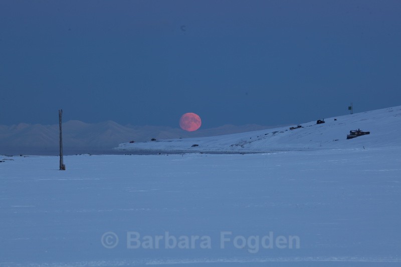 Moon in Hiorthamn - The daylight returns