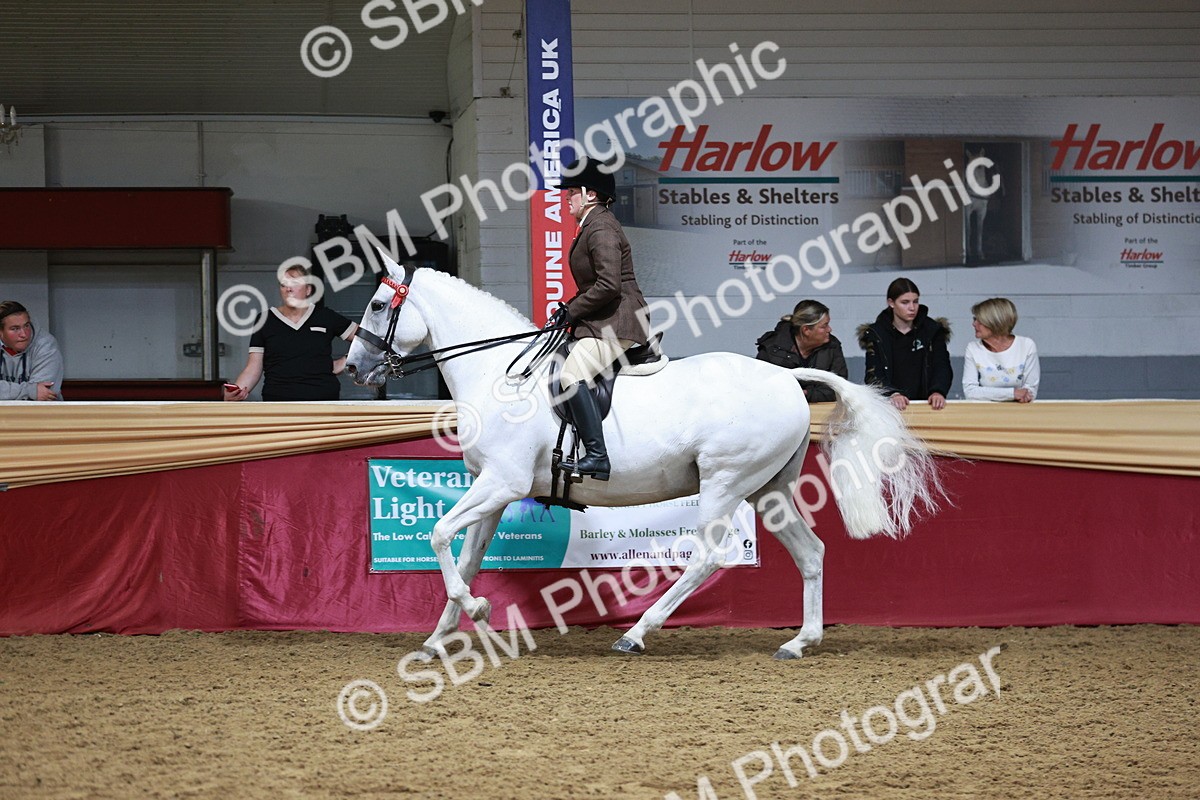 SBM_03486 - Class 6A Area Ridden Pre-Vet