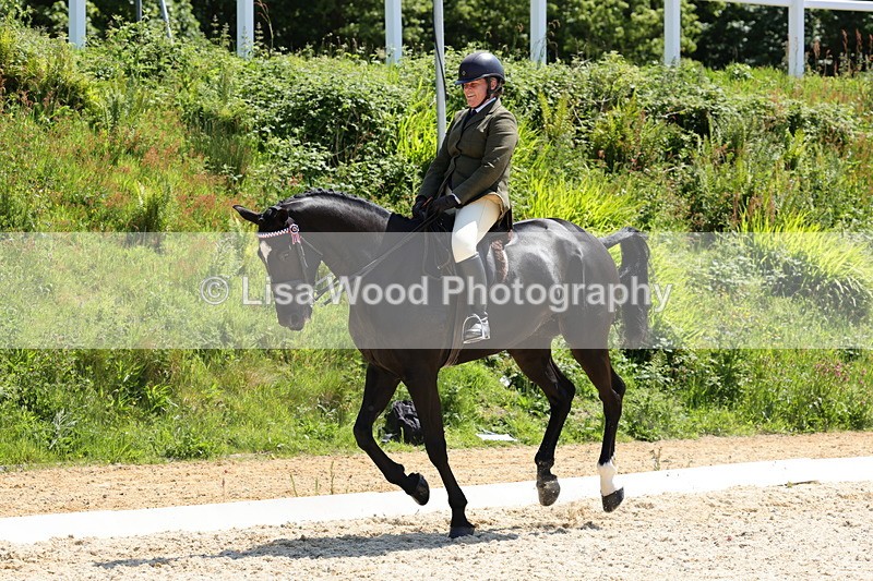 1X9A1938 - Class 12: Ridden Riding Horse/Hack