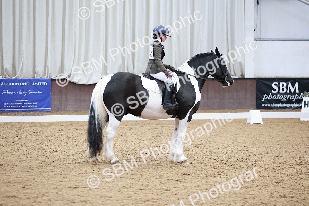 SBM_003885 - Class 2 - Novice 2020