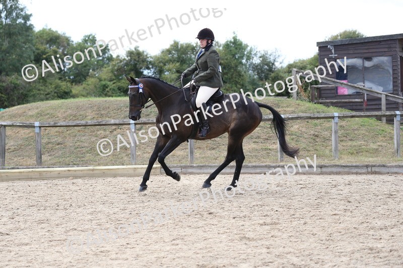 20260831-2622 - Class 15 - Ridden Retraining of Racehorses