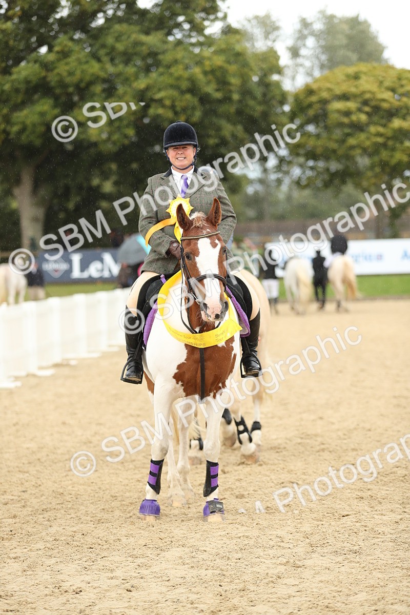 SBM_10016 - J36 - Veteran Rider 70cm