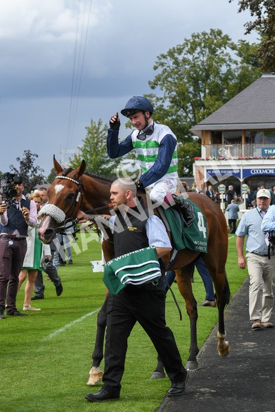 250823-Race 2-Coltrane-0366 - Race 2 2.25pm Weatherbys Hamilton Lonsdale Cup Stakes