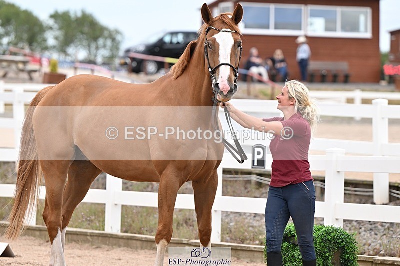 250716-160316-02372 - Trot Up 3.30 to 4.30