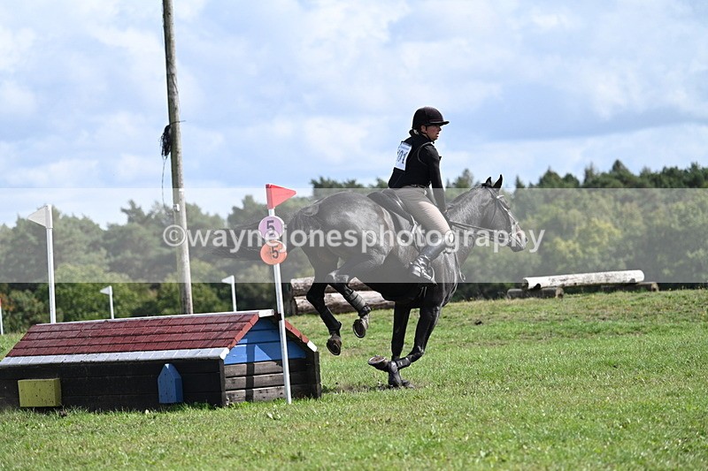 WJ7_2215 - Time 13:17 to 13:53