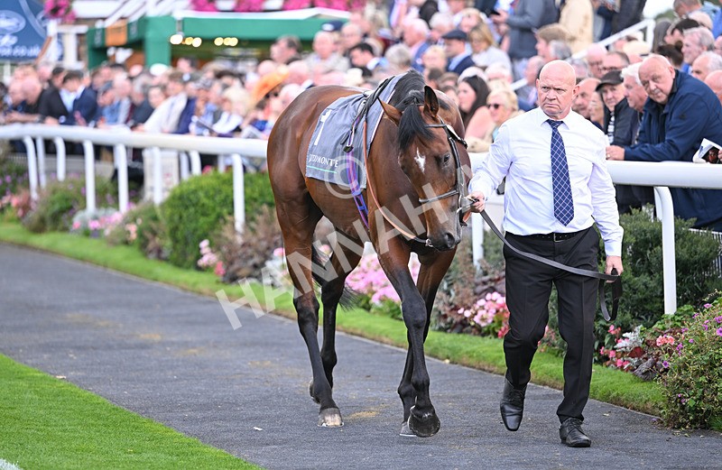 190826-174 Almaqam - Race 4 15.35pm Juddmonte International Stakes