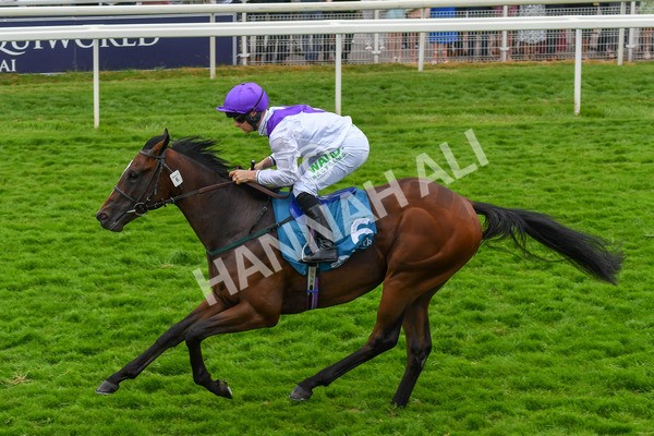 170623-Race 5-Twilight Romance-0792 - Race 5 4.15pm Reg Griffin Appreciation ebfstallions.com Maiden Stakes