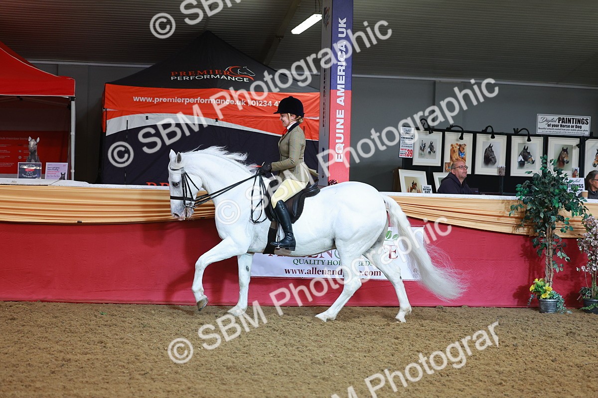 SBM_07639 - Class 101 - HOYS Veteran Qualifier - Ridden Diamond