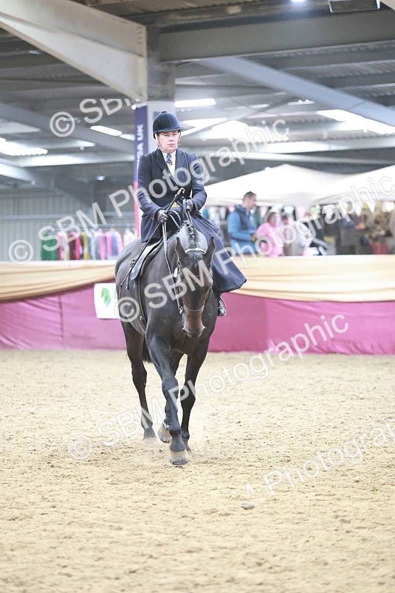 SBM_08842 - Class 12R - Regional Ridden Pre-Vet