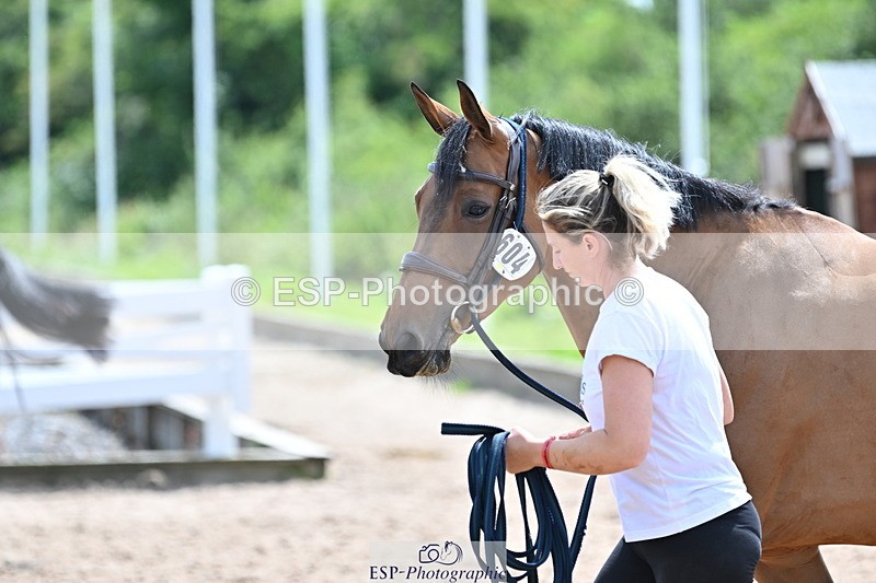240717A-145012-02327 - Trot Up 2pm to 3pm - This folder is not in time order