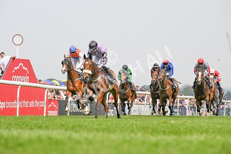 060524-Race 2-Brummell-2005 - Race 2