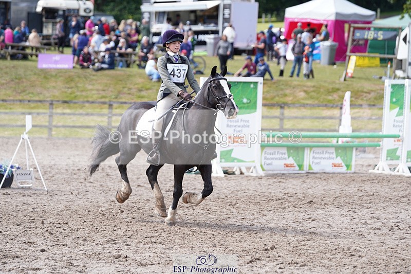 240824X-135336-27949 - 80cm Round 1 14.00 to 15.30