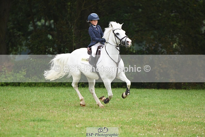 230618-104516-10520 - Cls 28 British Novice & 80cm Open