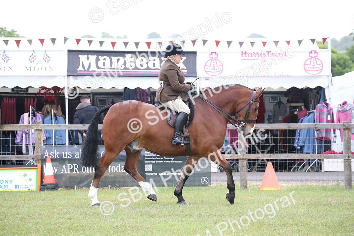 SBM_11029 - Class 92-93 - LIHS BSHA Rising Star Cobs