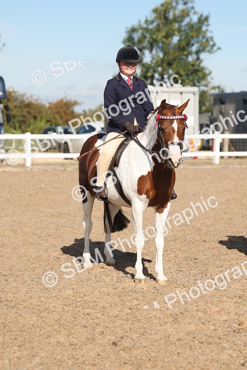 SBM_12362 - Class 304 - Ridden part Bred Horse Pony