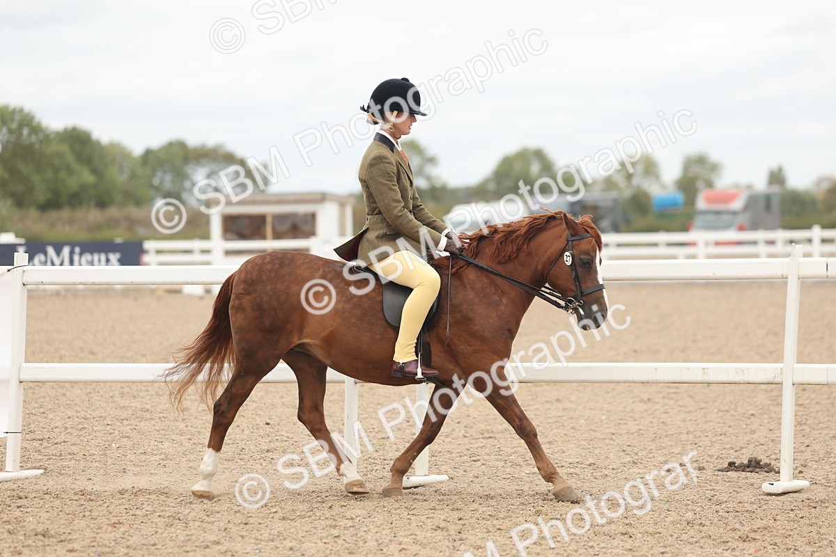 SBM_19114 - Class 316 - Best Pony-Rider Combination