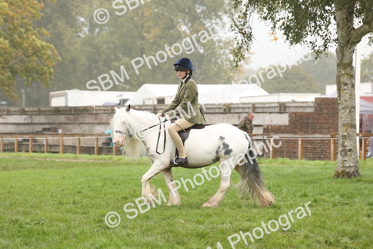 SBM_72756 - S70 - Traditional Cob Ridden