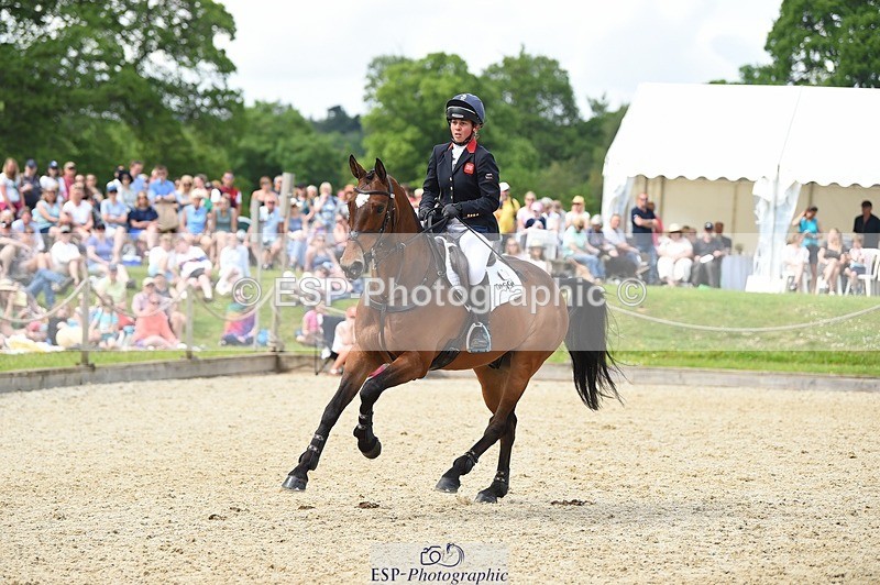 230528-154416-19180 - 132-OGUE_VERDI-Kitty_King-SUNTrotUp+SJ