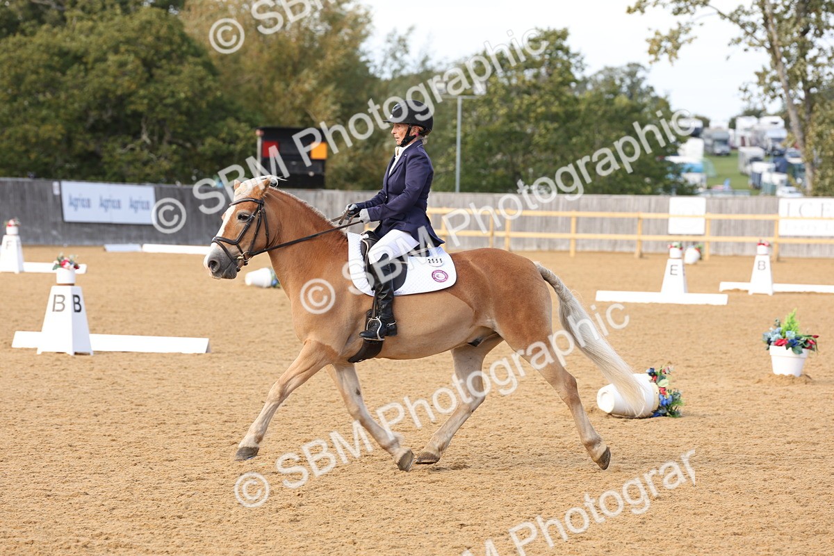 SBM_24614 - D17 - Grand Tour Championship Novice 3