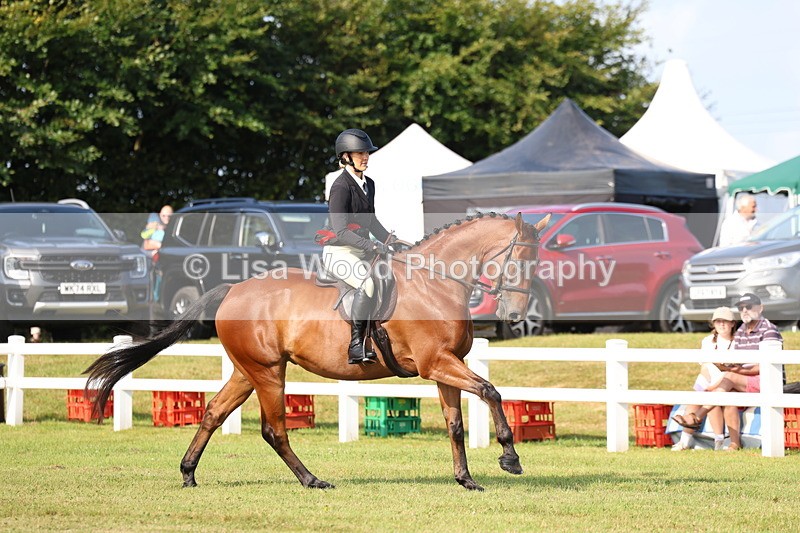 3E7A8417 - Class 2: Rising Star Large Hack/Riding Horse