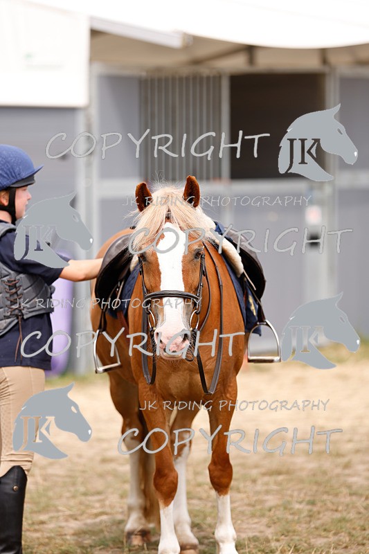 _R6A2951 - Arena Eventing Afternoon