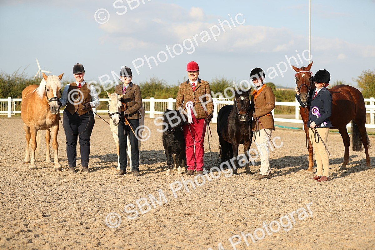 SBM_09167 - Class 29 IH Veteran Pony