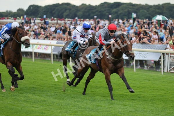yr04092022r1-24 - Race 1 1.45pm IRE Incentive, It Pays To Buy Irish EBF Novice Stakes