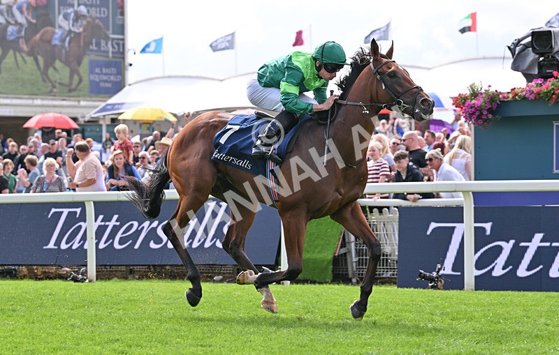 190826-047 Haffner - Race 2 14.25pm Tattersalls Acomb Stakes