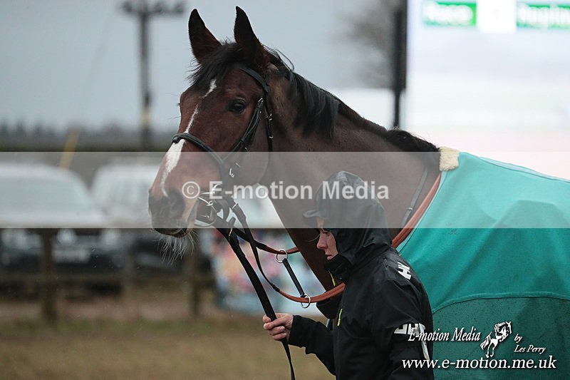 PtP 260125 949 - Cocklebarrow Point-to-Point racing with the Heythrop Hunt 26/01/25