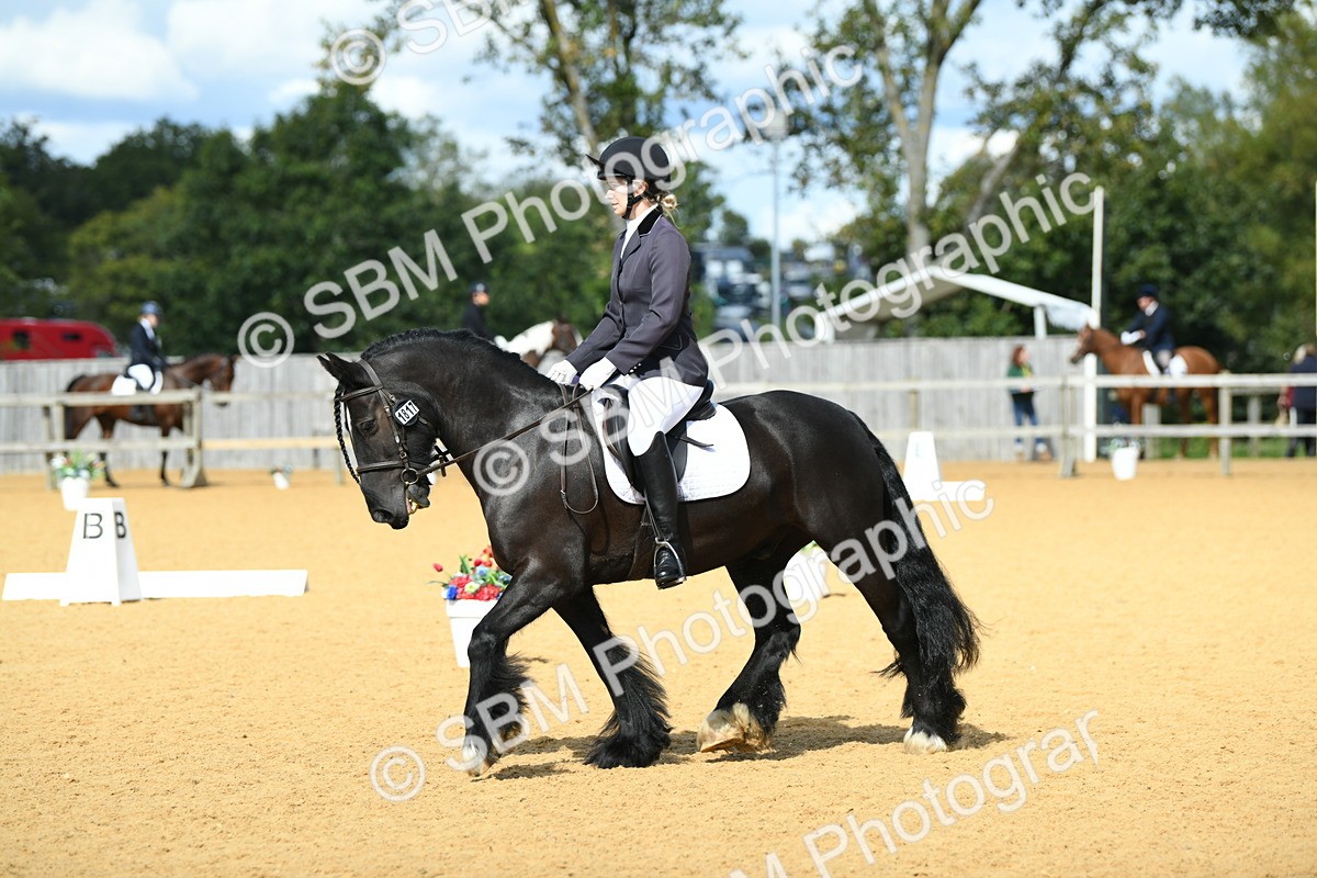 SBM_06605 - D15 Small Tour Championship Novice 24