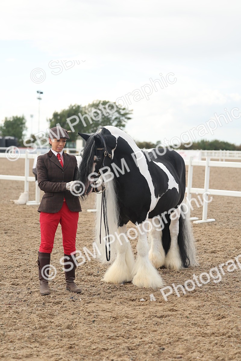 SBM_08558 - Class 29 - IH Veteran Pony