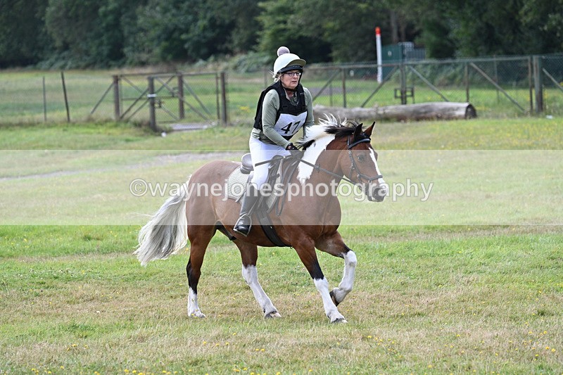 WJ7_1047 - 40cm Time 11:28 to 11:53