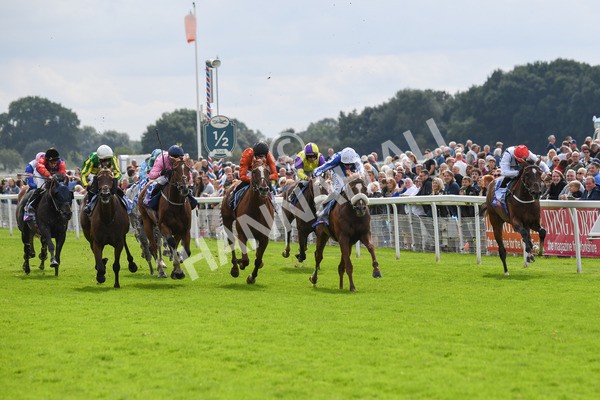 250823-Race 1-Marhaba The Champ-0110 - Race 1 1.50pm Sky Bet Handicap